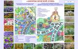 Дамский сад Аккорды женской души